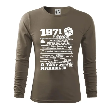 1971 v kostce