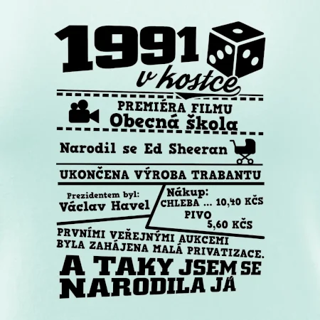1991 v kostce
