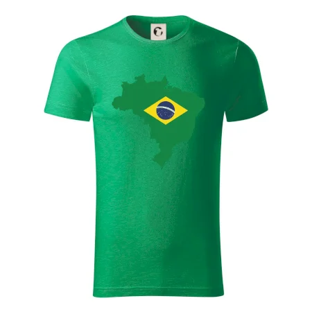Brazílie vlajka v mapě