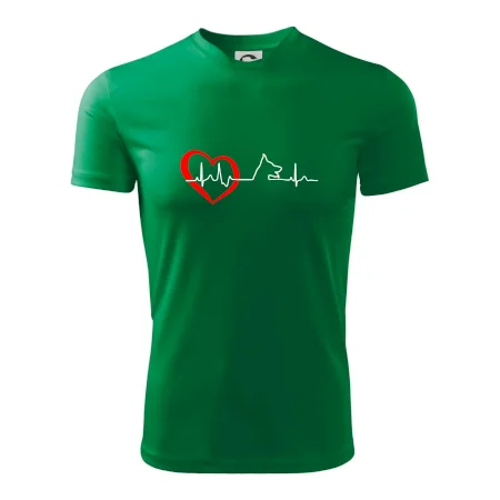 Německý ovčák ekg