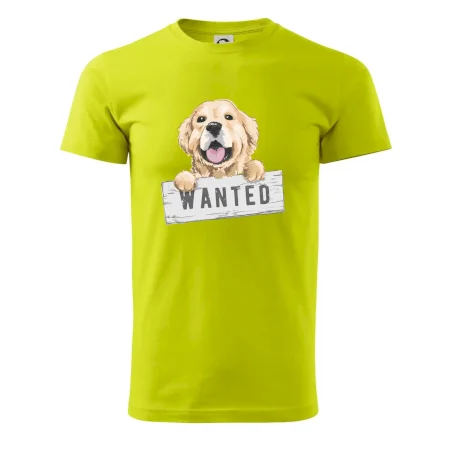 Zlatý retriever - štěně wanted
