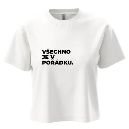 VŠECHNO JE V POŘÁDKU.
