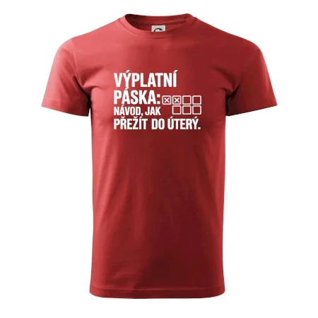 VÝPLATNÍ PÁSKA: Návod, jak přežít do úterý
