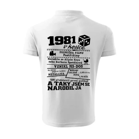 1981 v kostce