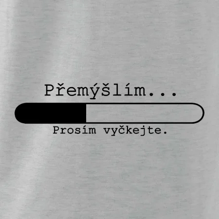 Přemýšlím