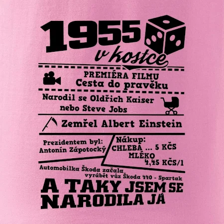 1955 v kostce