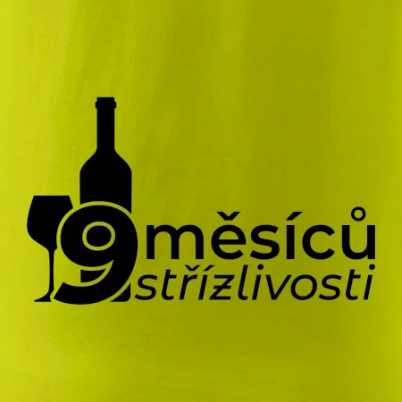 9 měsíců střízlivosti