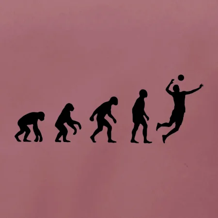 Evoluce volejbal smeč