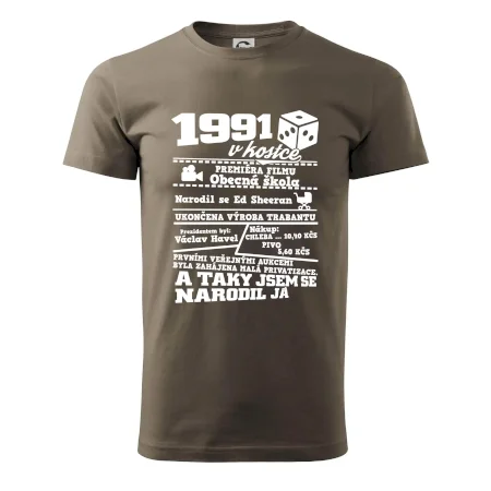 1991 v kostce