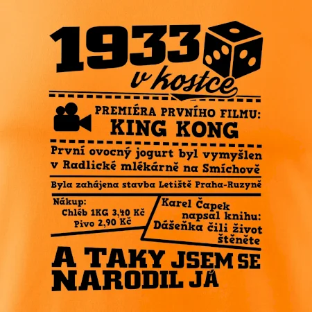 1933 v kostce