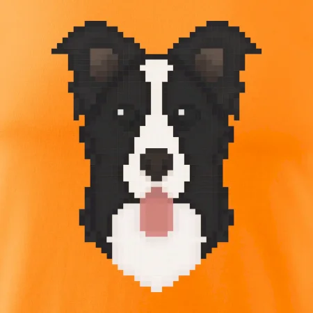 Border kolie Pixel
