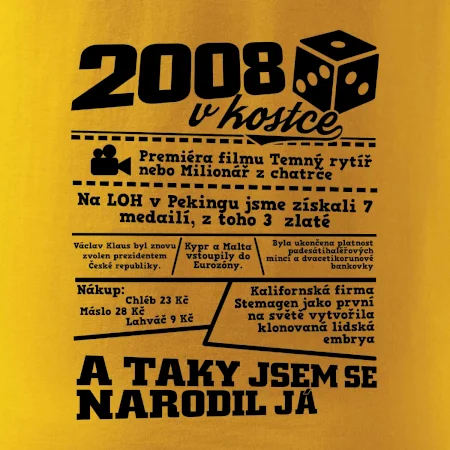 2008 v kostce