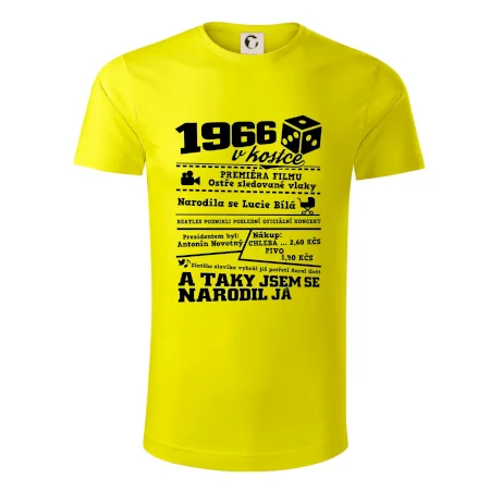 1966 v kostce