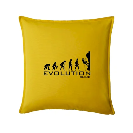 Evolution Climb