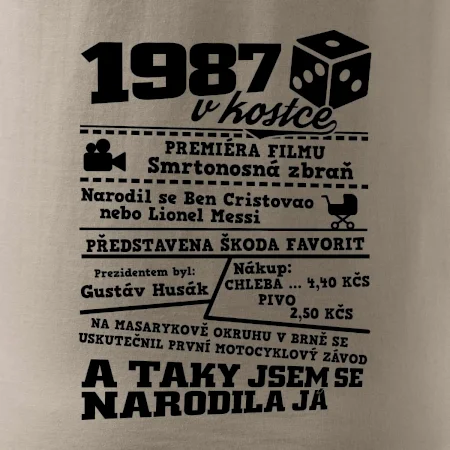 1987 v kostce