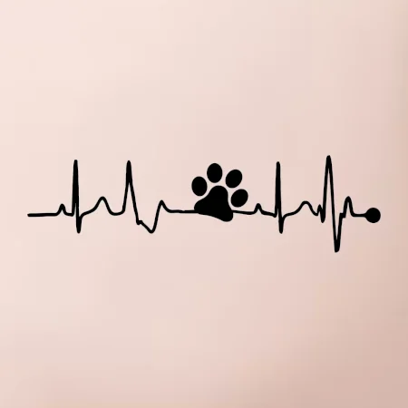 Ekg psí tlapka