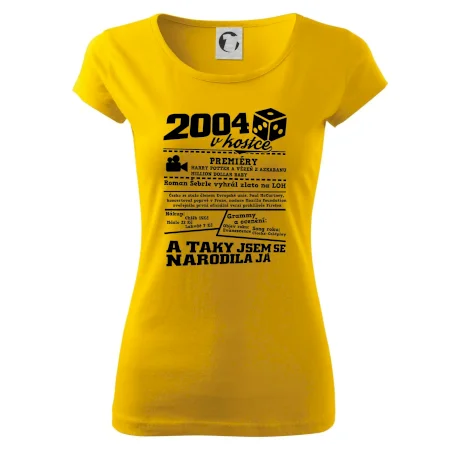 2004 v kostce