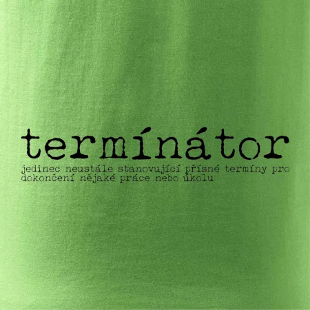 Čeština 2.0 - termínátor