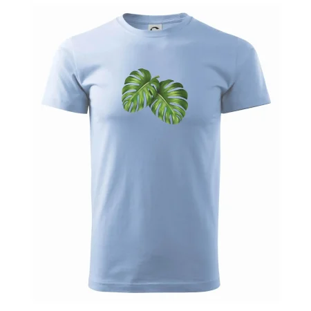 Monstera - dva listy