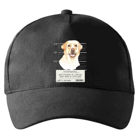 Lump a darebák labrador
