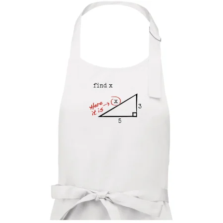 Find X - geometrie