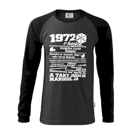 1972 v kostce