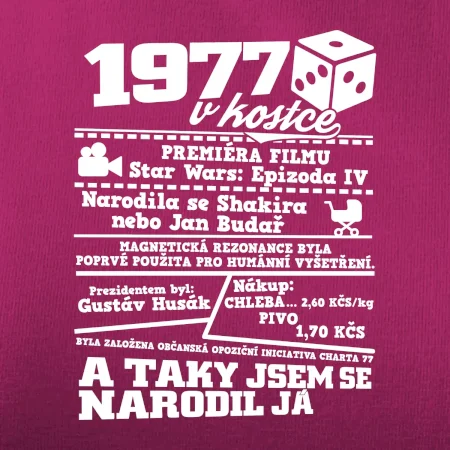 1977 v kostce