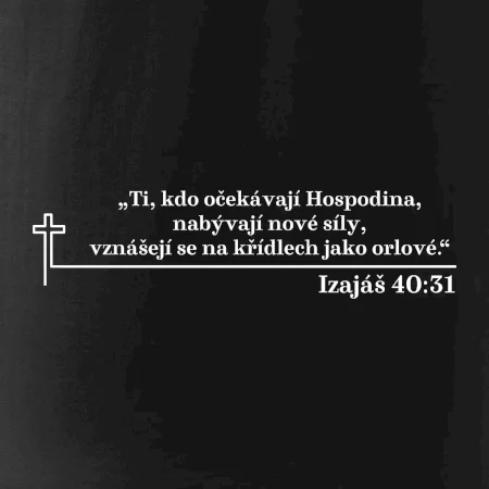 Citáty z bible - Izajáš 40:31
