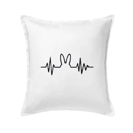 EKG zajíc
