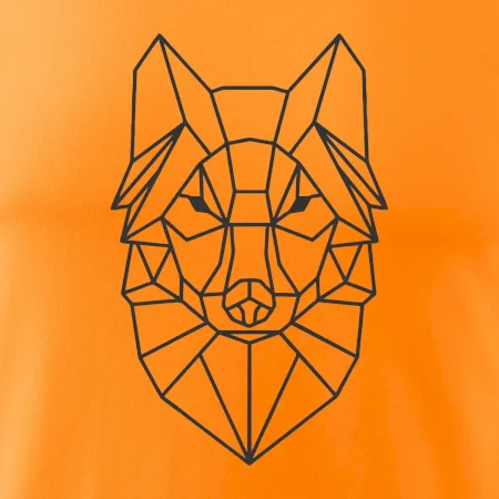 Geometrie - vlk