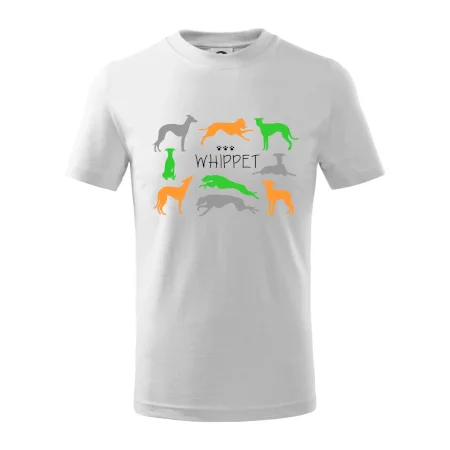 Whippet barevný