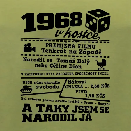 1968 v kostce