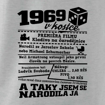 1969 v kostce