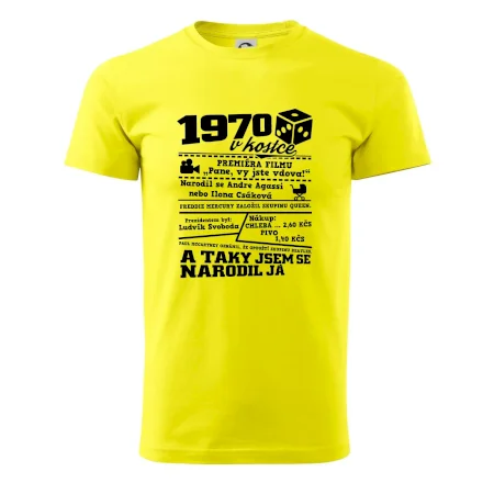 1970 v kostce