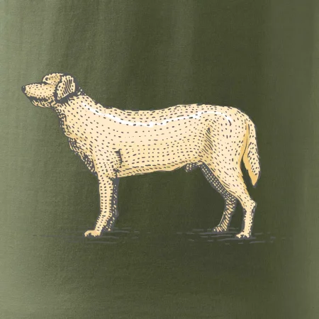 Vintage Labrador