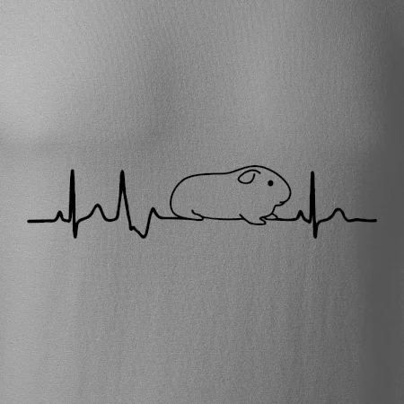 EKG morče