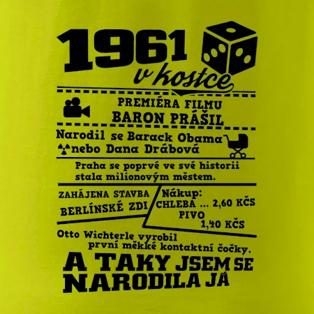 1961 v kostce