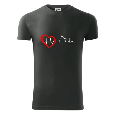Německý ovčák ekg