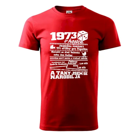 1973 v kostce