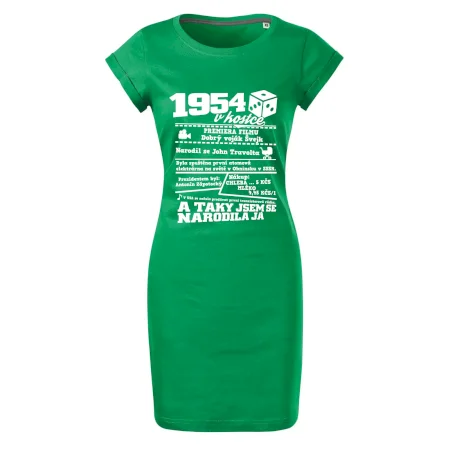 1954 v kostce