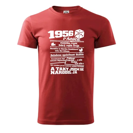 1956 v kostce