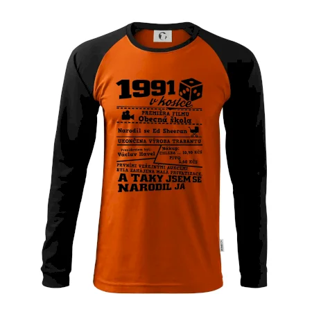 1991 v kostce