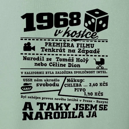 1968 v kostce