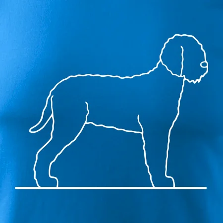 Lagotto romagnolo stojící