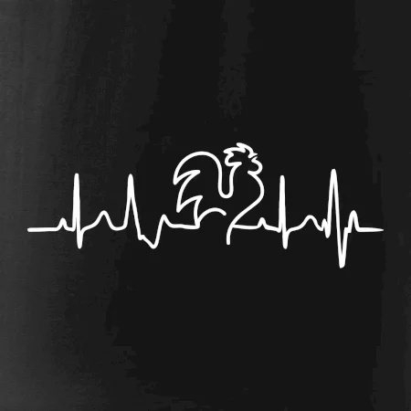 Kohout ekg