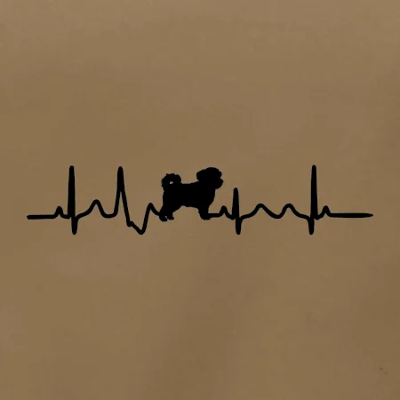 Havanský psík ekg