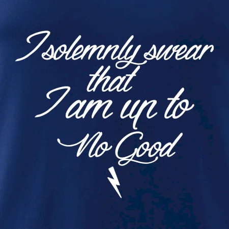 I solemnly swear that I'm up to no good
