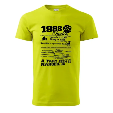 1988 v kostce