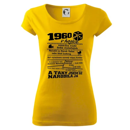 1960 v kostce