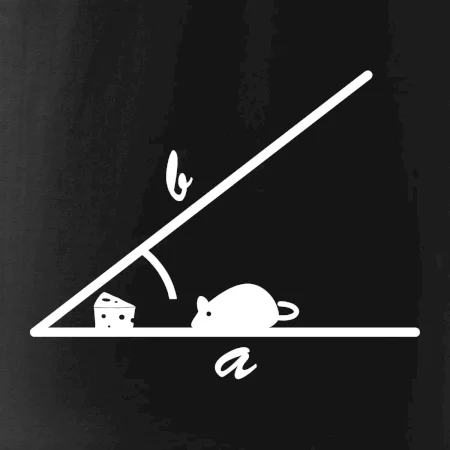 Matematická myš